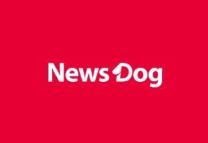 News_Dog logo